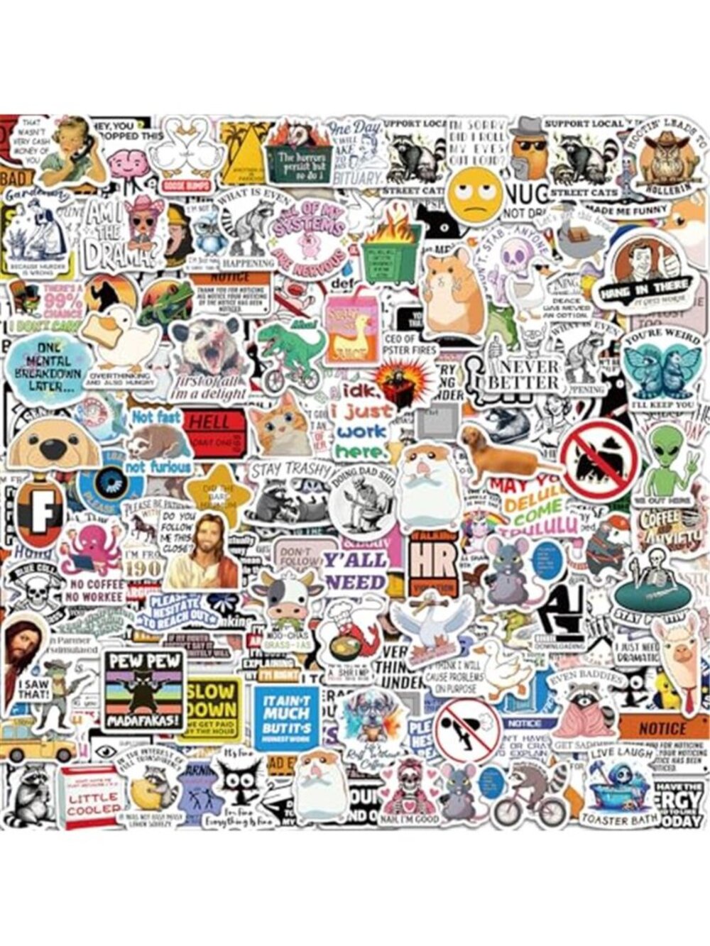 300 Pcs Funny Stickers for Adults, Waterproof Water Bottle Sticker Pack
